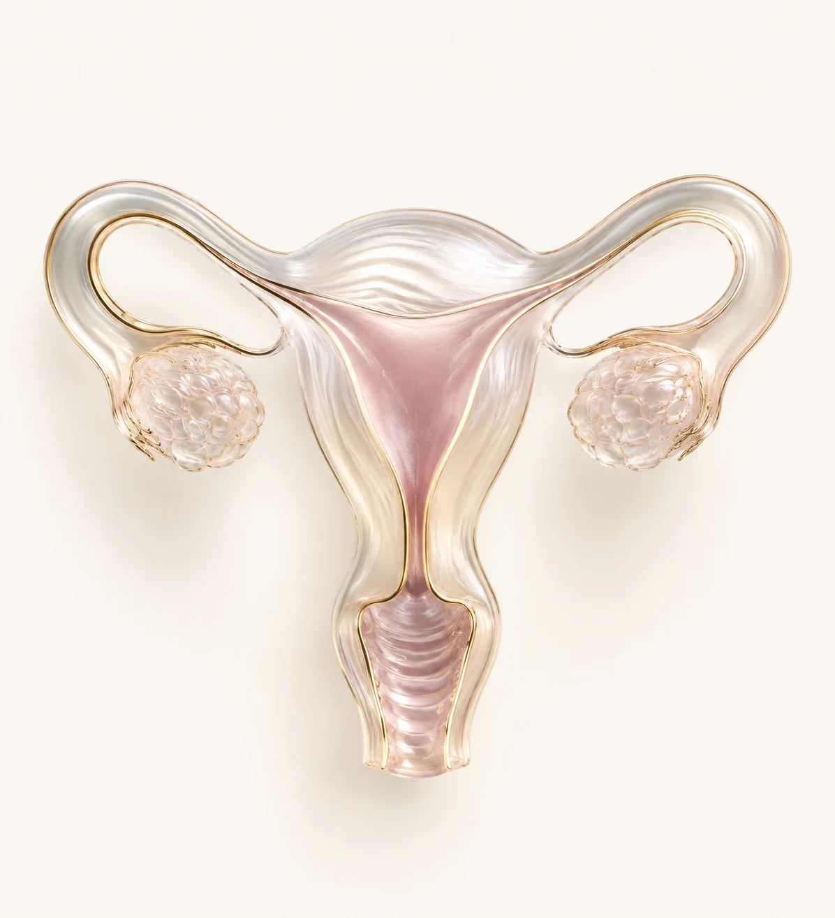 Ilustración del sistema reproductor femenino en cristal y dorado